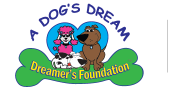 Dreamers Foundation
